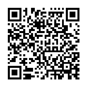 请……你……拉……我……起……来……可……以……吗二维码生成