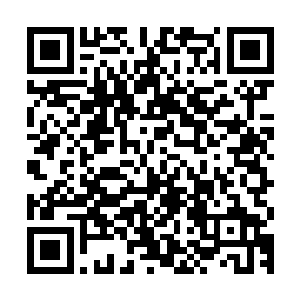 请允许我用这两朵娇艳的玫瑰来赞扬一下你们的青春和美丽……二维码生成