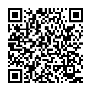 请大家多多留言投票支持我吧~~这样小禾也有日更的动力呀^_^二维码生成