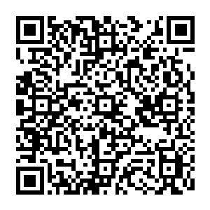 请将裴家发生的血案真相带回长老会……我希望能够得到长老会最为公正的仲裁……二维码生成