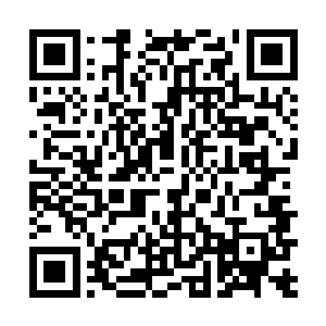 请柬写着的每一个字他也仍然还能清清楚楚地回忆起来二维码生成