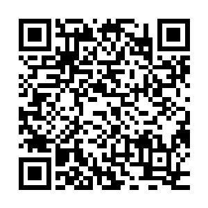请求您帮帮我吧……我真的不要再进入那一次次的轮回中了……二维码生成