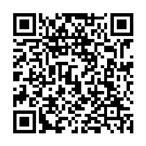 请问你在好莱坞完成这次电影拍摄的时候有没有遇见coco呢二维码生成