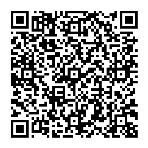 请问公主认为本妃要怎么样才能在短短一刻钟的时间里知道公主在黎王府并且知道确切的行踪二维码生成