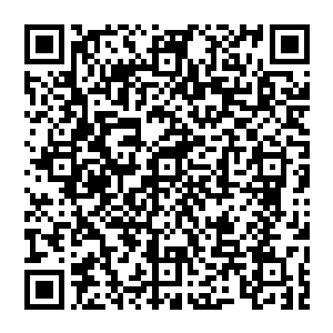 诸位　今日我小婿从秘境出來　受了重伤　即将回城内调养　若诸位沒什么事儿　大家就散去吧　二维码生成