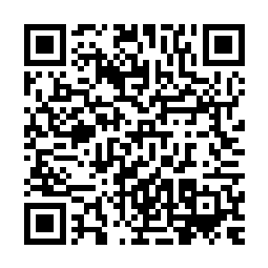 诸殿主回去召集下面的府主将此行的意图以及宫主法旨一公布二维码生成