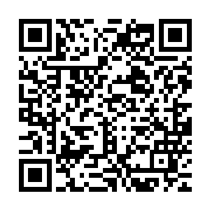 诺亚从一个默默无闻的人到现在成为猩红小队队长可是很用功啊二维码生成