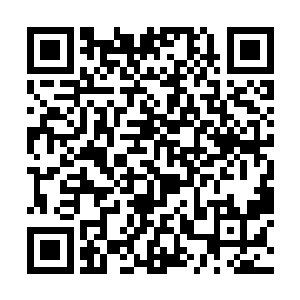 谁也不会这样顶着安德森家族的厌恶去为林氏鸣不平二维码生成