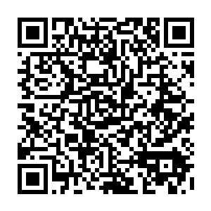 谁也不嫌钱多 我可以给你资本 足够的资本 你去帮我赚钱 就是这么简单 二维码生成