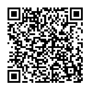 谁也不许碰夏天不许讨伐夏天不可以指责他怀里曾经积极向上的女人二维码生成