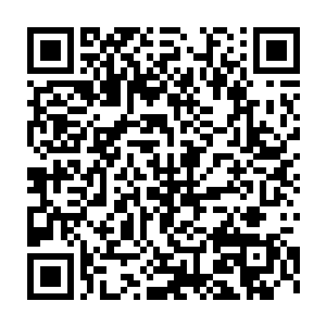 谁也没料到在一百多米的墓室地下会存在这种深不见底的巨型天坑二维码生成