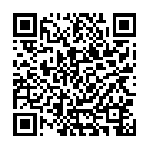 谁也没有想到张潇晗会从储物戒指里扔出来这么多的灵符二维码生成