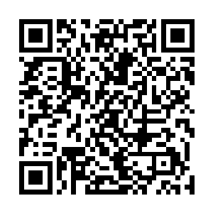 谁会怀疑一个学生会把两个杀手介绍到警察家里去住着呢二维码生成