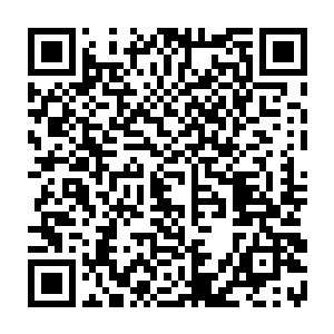 谁会想到这种从地球修真文明开始就没有出现过的隐灵根会出现在这里呢二维码生成
