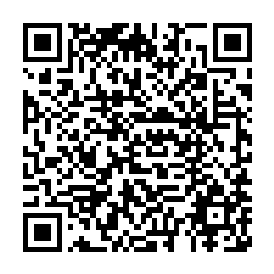 谁敢保证自己的门派里没有几个败类或者是狐假虎威让人讨厌的家伙呢二维码生成