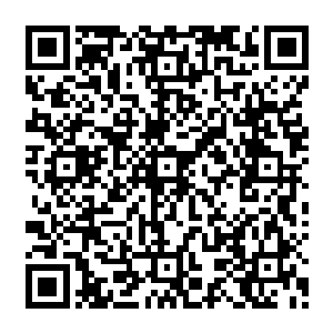 谁是真君地址为如果你觉的本章节还不错的话请不要忘记向您qq群和微博里的朋友推荐哦二维码生成