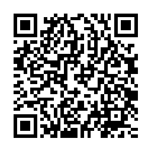谁知道他到底会不会觉得咱们是累赘便想要把咱们给丢在这里啊二维码生成