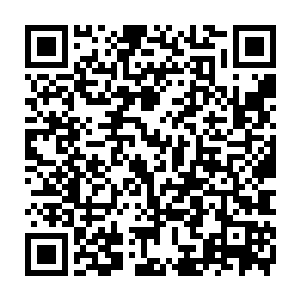 谁能掏出狮子大开口的几十万来赔偿那伸缩门和故意停在门内侧被推翻的两部车二维码生成