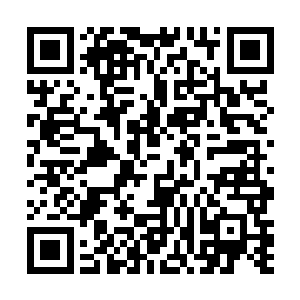 谁让那娇滴滴的小娘皮还保证收下苏浣羽……我看划算二维码生成