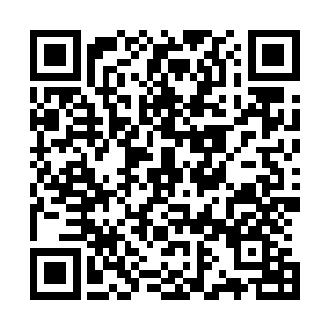 谁都没有办法确定孙子轩什么时候会精神力损耗殆尽而垮掉二维码生成