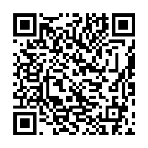 调查公司的资质也不足以分辨医疗死亡和正常死亡的区别二维码生成