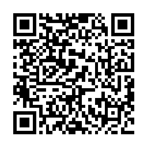 调查这件刀片凶杀案与我们目前在办理的案件有什么联系二维码生成