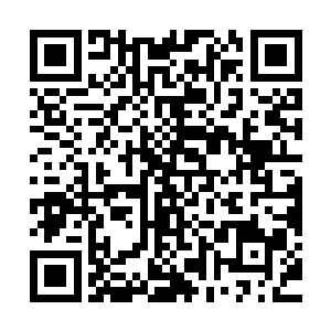 谋略学等等等等之类的课程更是斯宾塞家族里的女人们的必修课二维码生成