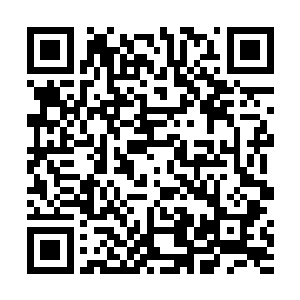 谢墨含在桌椅要碰到忠勇侯的时候轻巧地拉着他避开了二维码生成