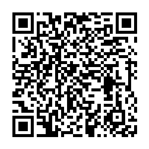 谢家打算在皇帝使者到来的时候献上一副由上品朱砂拼成的皇恩浩荡的摆件二维码生成