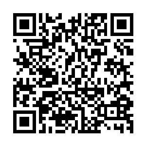谢氏长房所住的院落位置自然不是在特别繁华的主街望族之地二维码生成