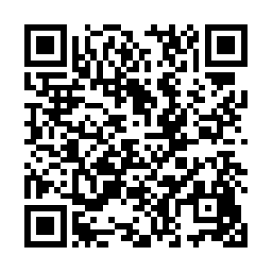 谢芳华毕竟不是完完整整的今生站在秦铮眼前的谢芳华二维码生成