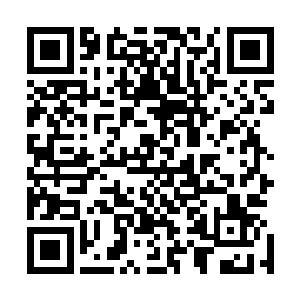 象你这样敢于直言的中层干部估计在你局里也是鹤立鸡群吧二维码生成