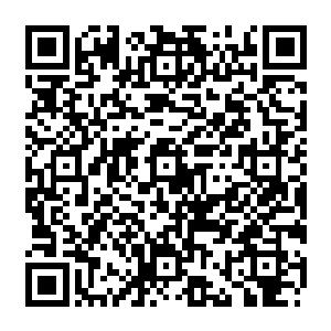 貌似费南的原住民杀人是没办法涨经验的……但是让我一个外人来处置精灵族的内事二维码生成