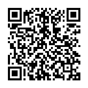 贝海一听自己发明的渔具被渔业管理委员会禁用顺口来了一句二维码生成