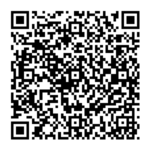 贝海则是呆在了船桥上手里拿着计算器不停的算着今年的渔获要达到自己的内心的预期值自己还在抛多少次渔具二维码生成