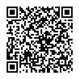 贝海和朋友们刚走到了停车场就看到远处一辆辆的绿皮卡车开了过来二维码生成