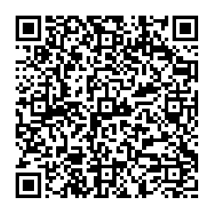 贝海抬头望着迪戈笑了一下说完就把手中己经开出的支票挨个的看了一下推到了迪戈和马特还有乔伊的面前二维码生成