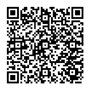 贝海望着眼前的大别墅不由的仔细的把手中的纸条对着上面的门牌号重新对了一下二维码生成