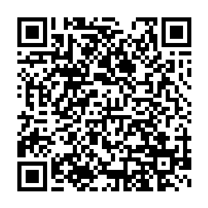 贝海的办法很是简单粗爆直接从空间内拿出了一长一短两条细绳子二维码生成