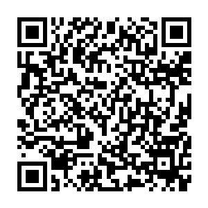 负责监督管理全市酒类商品生产流通和酒业结构的调整及行业规划的制定二维码生成