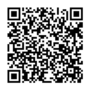 负责赏金邢捕的认证管理还有发布任务与在赏金邢捕之中传递各种消息与信息二维码生成