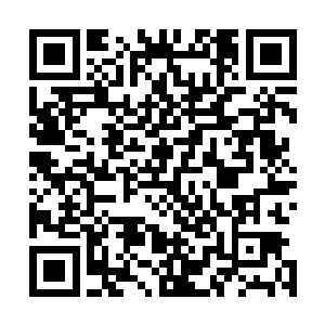 财政和审计部门培训一下财务账目正规化规范性方面的建议二维码生成