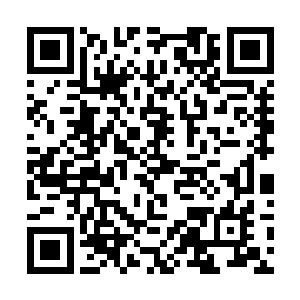 贵族和官员们都已经用自己的手段和耳目得到了消息二维码生成