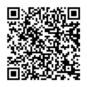 费了将近半个小时的时间杨戬几个人才将凶兽王者的尸体彻底的处理完毕了二维码生成