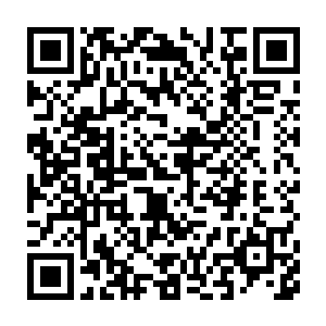 费奈蒙警官代表的警察和法律有无能非绝对正义的一面是tlb的要旨之一二维码生成