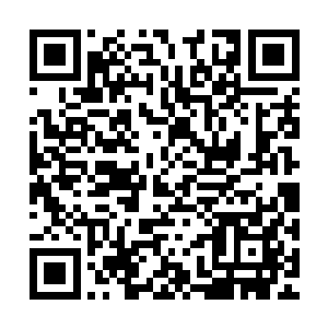 贺阳信次一次又一次地从足以秒杀或重创boss的攻击中全身而退二维码生成