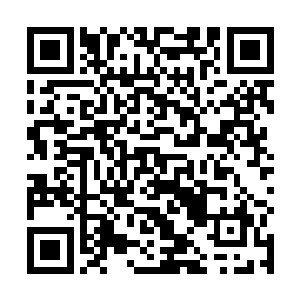 贺齐的目光便与正座上的曹仁的目光直勾勾地对视起来二维码生成