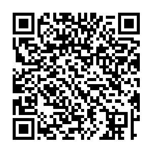 贾组长就安排我们整个小组的成员全体出动去打探度假山庄的动静二维码生成