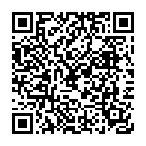 资质最差的齐正言和罗胜衣都宛如经受了一次内外天地交汇对资质的改变二维码生成