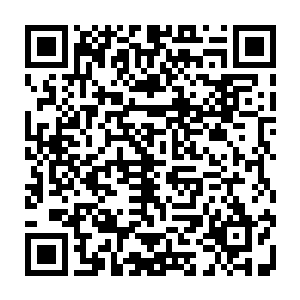 赢了赌注就代表着他在接下来的很长的一段时间都要跟随太乙真人学习医术二维码生成